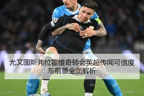 尤文图斯弗拉霍维奇转会英超传闻可信度与前景全面解析